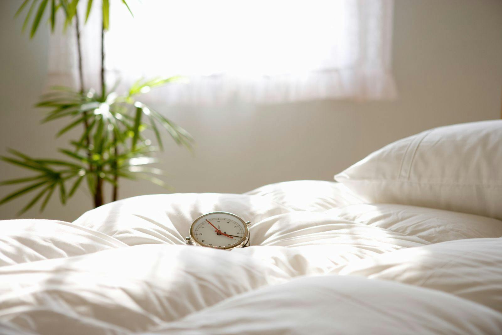 キャッチイメージ