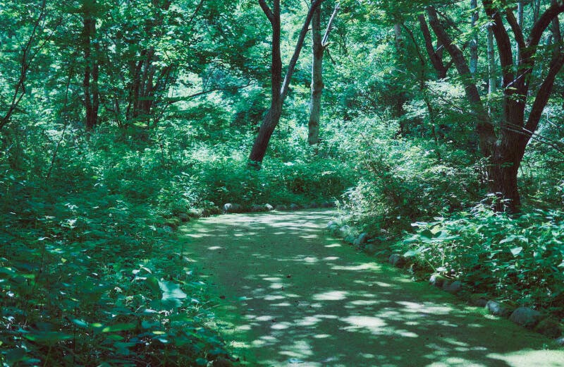 コンディショニングを実践しよう