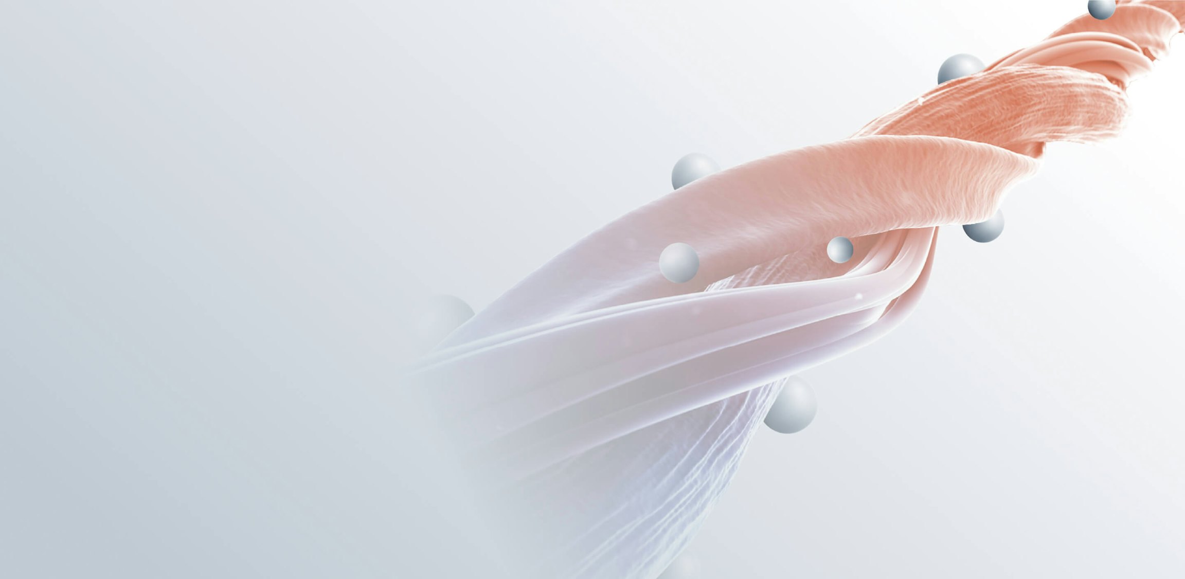 SELFLAME メインビジュアル